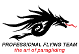 Professional Flying Team Profly